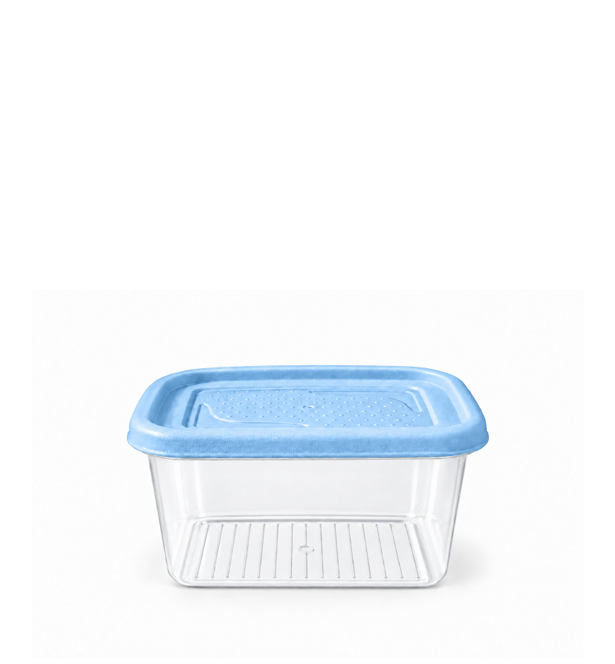 BOITE FRESH BOX MAXI