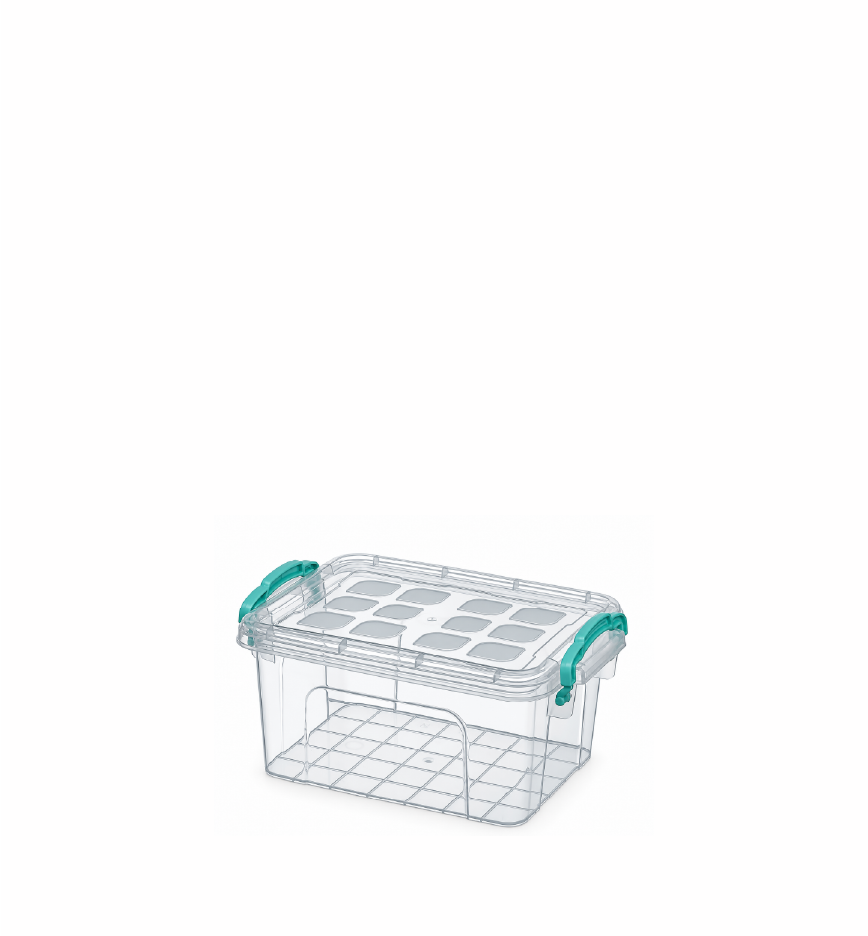 Oasis Box N°1